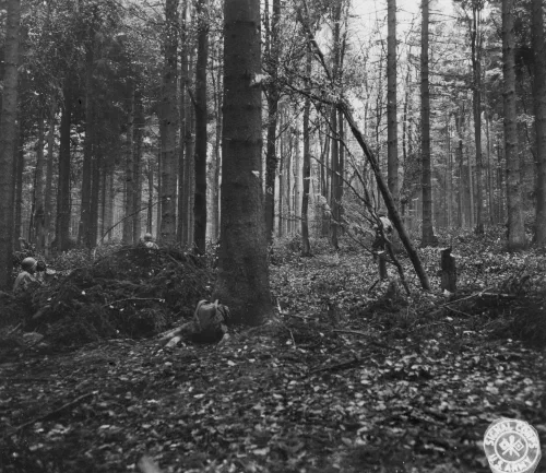 Soldados de infantería estadounidenses avanzando entre los árboles del bosque de Hürtgen cerca de Vossenack, noviembre de 1944
