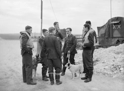 Pilotos de Spitfire del Escuadrón 19 de la RAF reunidos en Fowlmere, septiembre de 1940